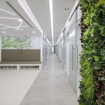 The Medical Co-working