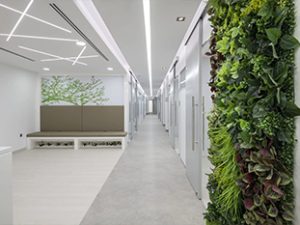 Interior Design Company